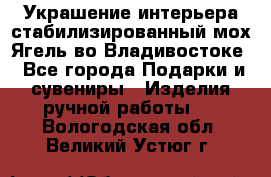 Украшение интерьера стабилизированный мох Ягель во Владивостоке - Все города Подарки и сувениры » Изделия ручной работы   . Вологодская обл.,Великий Устюг г.